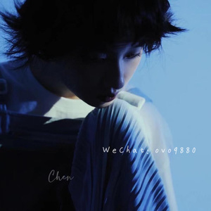 黄网站网址能进的2014
